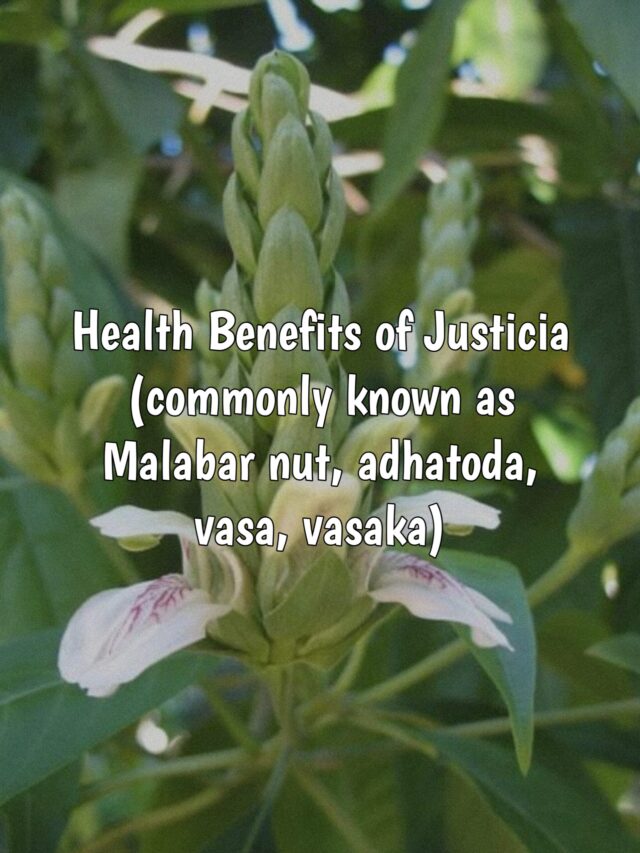 HEALTH BENEFITS OF JUSTICIA ( VASAKA , MALBAR NUT)