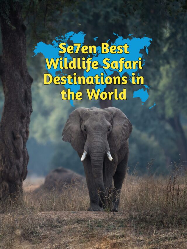 SEVEN BEST WILDLIFE SAFARI DESTINATIONS IN THE WORLD