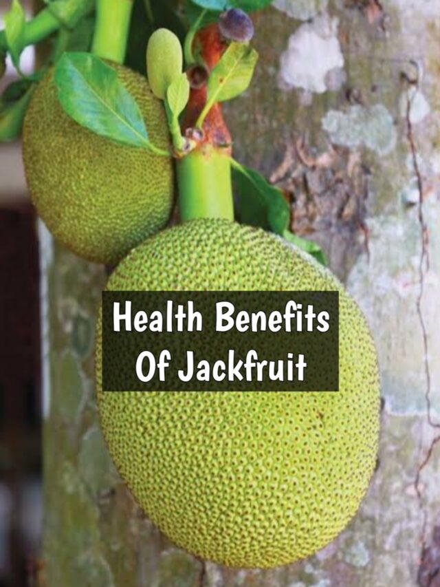 7 Health Benefits of Jackfruit