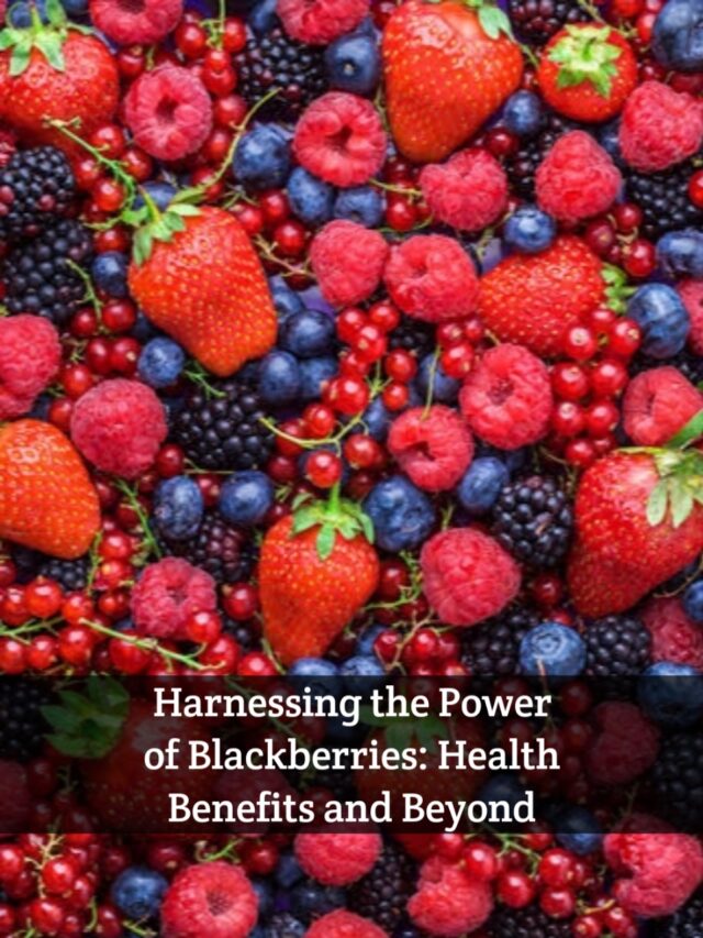 Here are 7 health benefits of blackberries