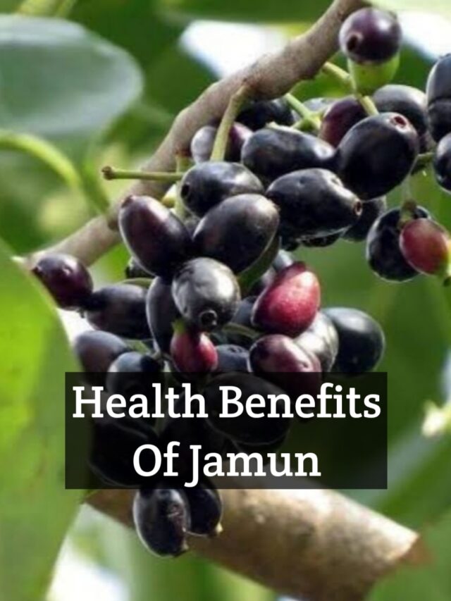 Jamun, also known as Java plum or Indian blackberry, offers several health benefits