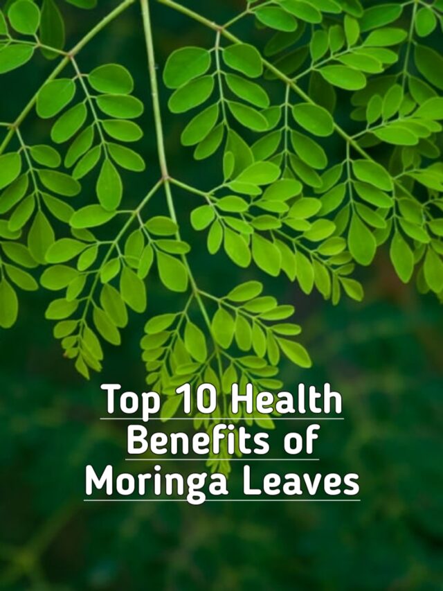 Discovering the Health Bounty of Moringa Leaves: 10 Reasons to Embrace Nature’s Superfood