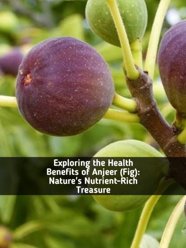 The Fig Factor: Unlocking the Health Benefits of Anjeer