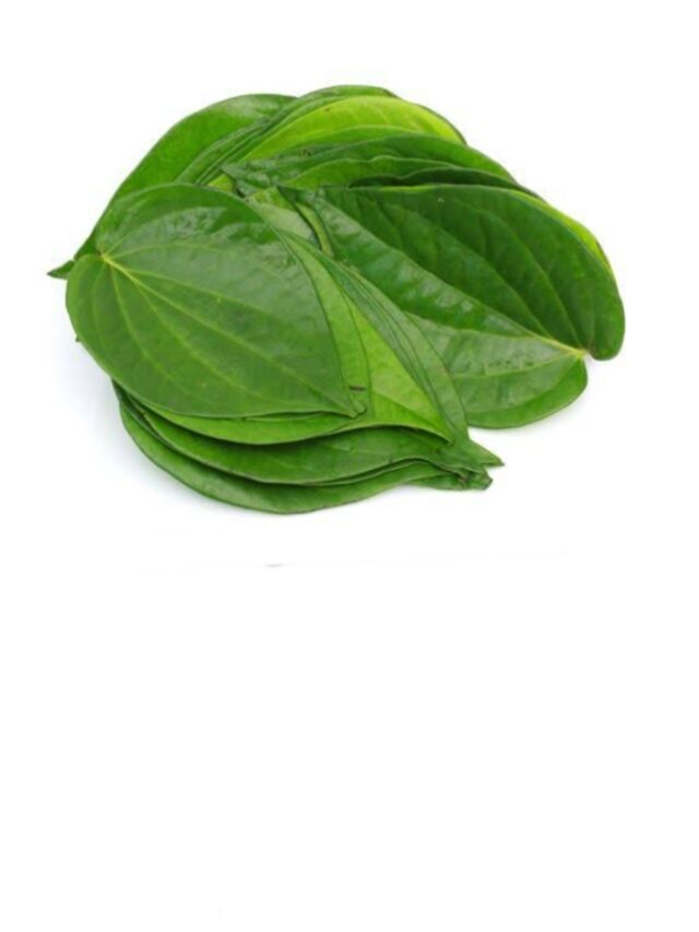 Green Gold: The Secret Benefits of Betel Leaf