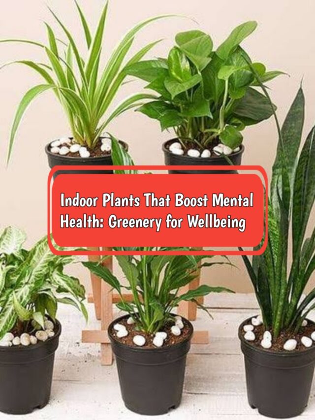 The Living Air Purifier